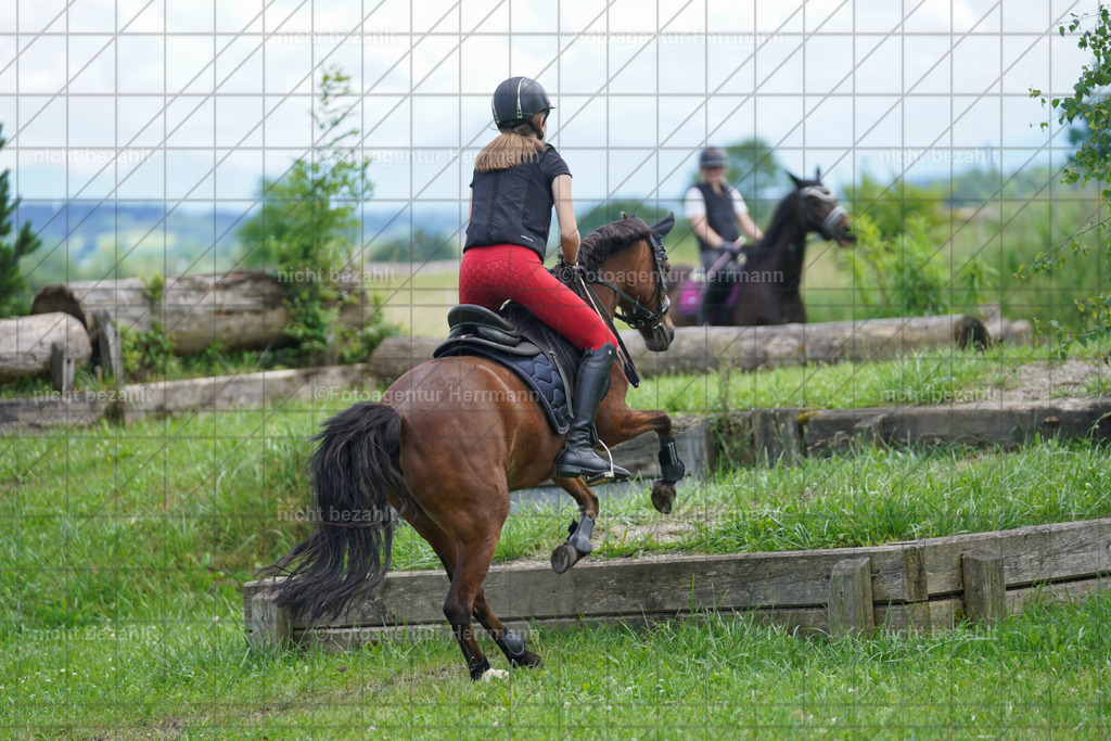 20240622-FAH07389 | Turnierfotografen Bayern, Reitsportbilder aus dem Geländekurs mit Felix Etzel auf dem Gut Waitzacker 2024