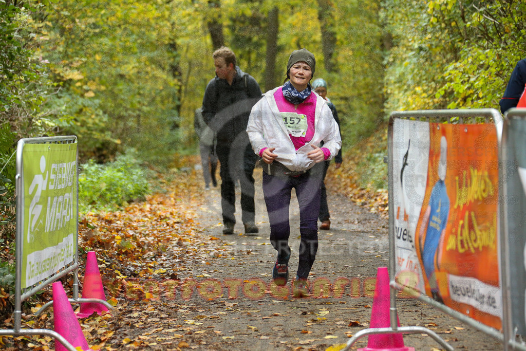 251026_1359_EX1_4076 | Sportfotografie im Rhein-Sieg Kreis, Köln, Bonn, NRW, Rheinland Pfalz, Hessen, etc. Unser Tätigkeitsfeld umfasst den Laufsport vom Volkslauf über den Marathon, Duathlon, Triathon bis zum Ultralauf wie Kölnpfad Ultra oder Schindertrail.