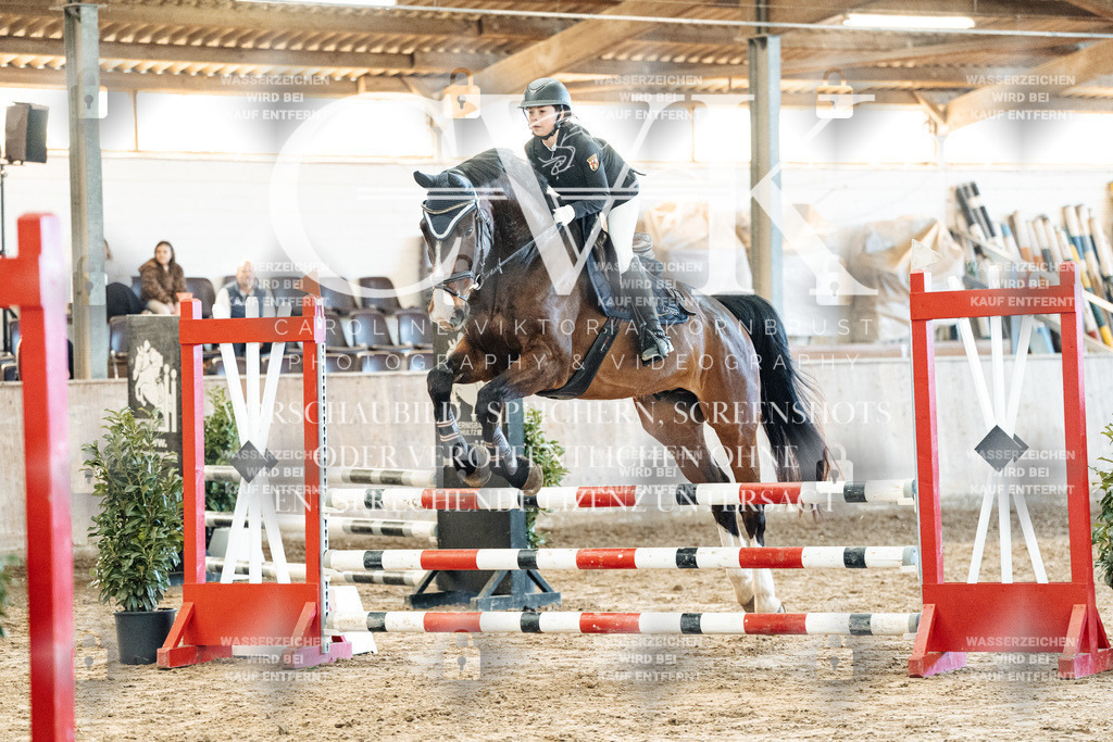 CK904435 | Turnierfotografie Pferdefotografie Trier Rheinland-Pfalz Pferdesport Reitsport Tierfotografie Sportfotografie Pferdevideo Pferdevideografie Equestrianvideography equestrianphotography  - Realisiert mit Pictrs.com