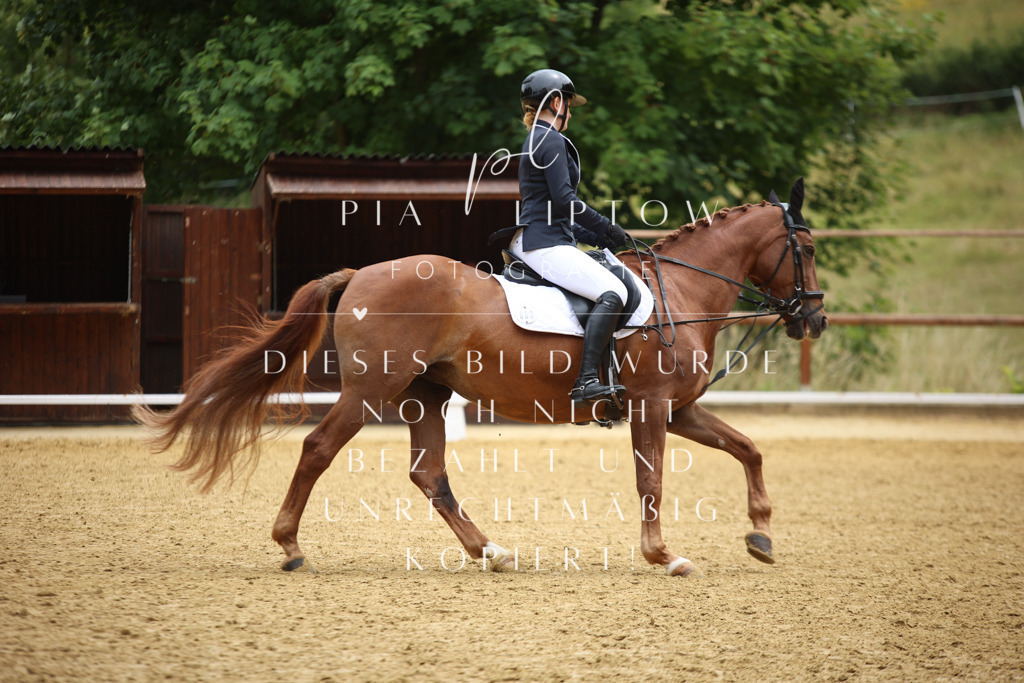 IMGM2860 | pl-fotografie