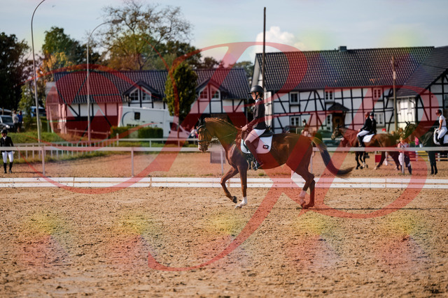 2026_10_03_Siefer-Hof_132849_Z63_90281214 | Professionelle Reitsport-, Turnier- und Eventfotografie von Robert Broda. Galerien mit ausgewählten und bearbeiteten Bildern direkt online ansehen und bestellen.