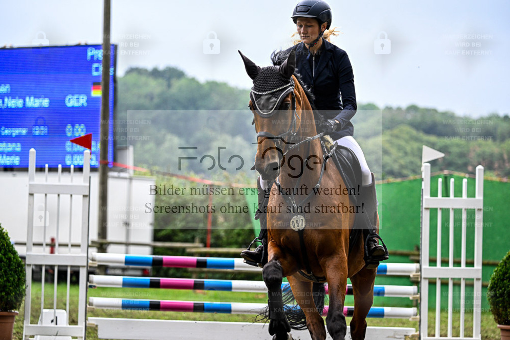 Bissendorfer Reitertage | Entdecke hochwertige Reitturnierfotos von Foto Oger. Professionell, emotional und authentisch – jetzt Lieblingsmomente im Shop bestellen. - Realisiert mit Pictrs.com