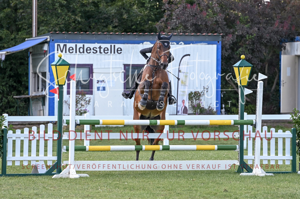 Schugtsche-Düren.2024-09.Springprf.L-199 | Schugtsche Fotografie - Realisiert mit Pictrs.com