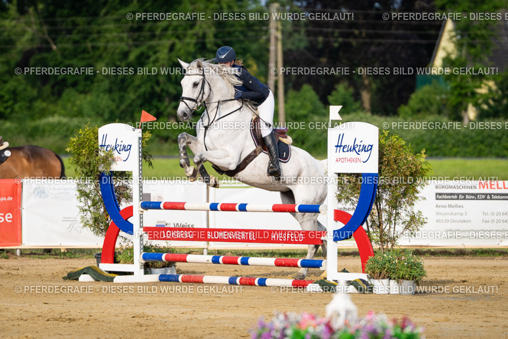 DSC02626 | Pferdegrafie