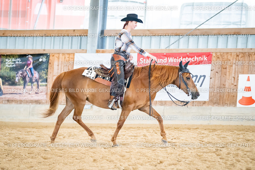 DSC03086 | Pferdegrafie