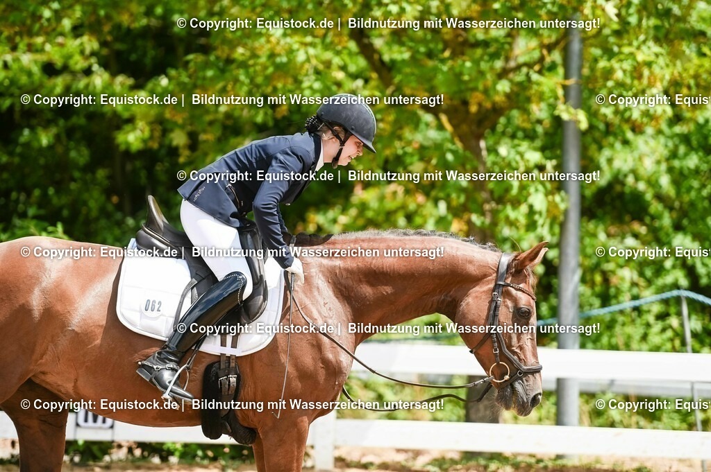 20230716_03_Dressurprfg. Kl.L - Tr._0423 | equistock
