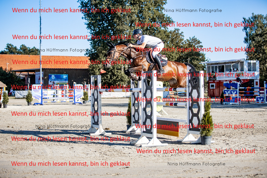 BK1A8197 | Turnierbilder Turnierfotos Nina Hüffmann Turnierfotografie Pferdefotografie Tierzeichnung Haustierzeichnung Pferdezeichnung Hundezeichnung Videograf  - Realisiert mit Pictrs.com