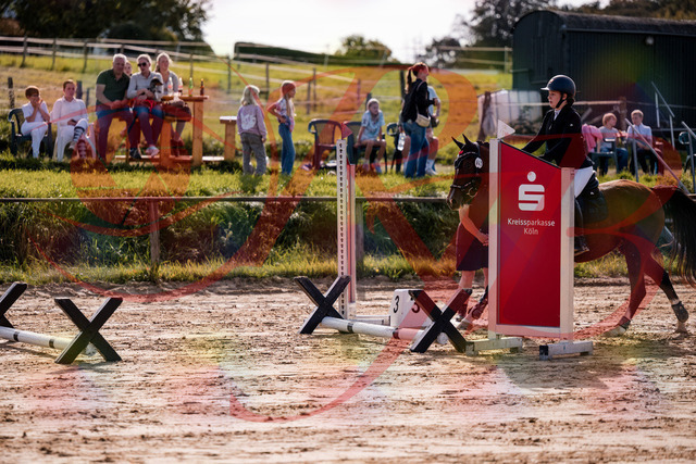 2026_10_03_Siefer-Hof_145705_Z81_38355912 | Professionelle Reitsport-, Turnier- und Eventfotografie von Robert Broda. Galerien mit ausgewählten und bearbeiteten Bildern direkt online ansehen und bestellen.