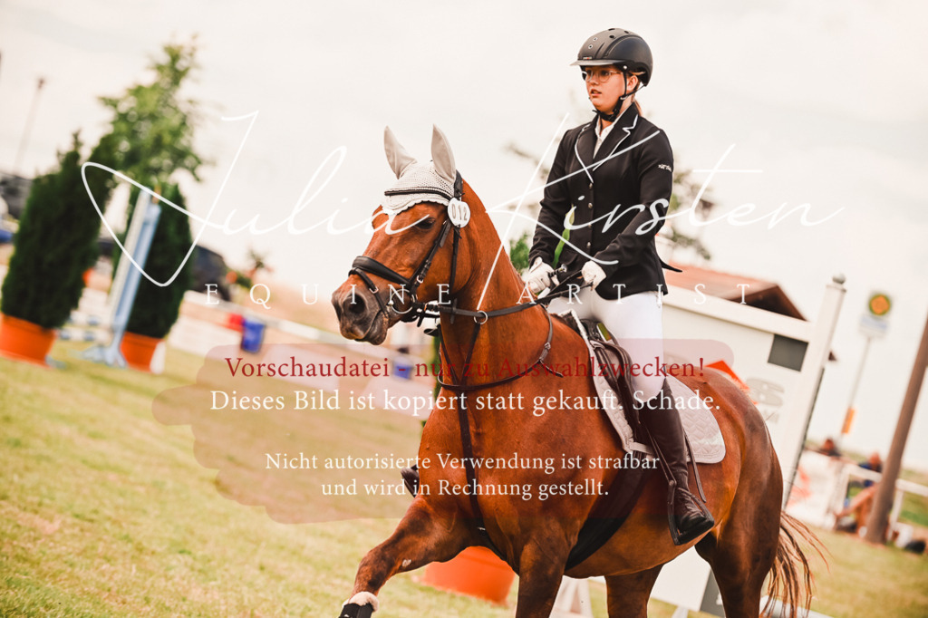 DSC_6855 | Pferde- und Turnierfotografie in Westsachsen. Pferdeportraits, Auftragszeichnungen und intuitive Kunst.