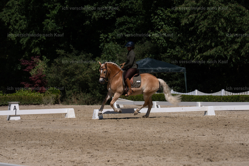 WS_DR_1_sinafilmart_IN03450 | working equitationturnier fotograf videograf stoibphotography marixx film working equitation deutschland reitsport turnierfotografie eventfotografie equestrian events