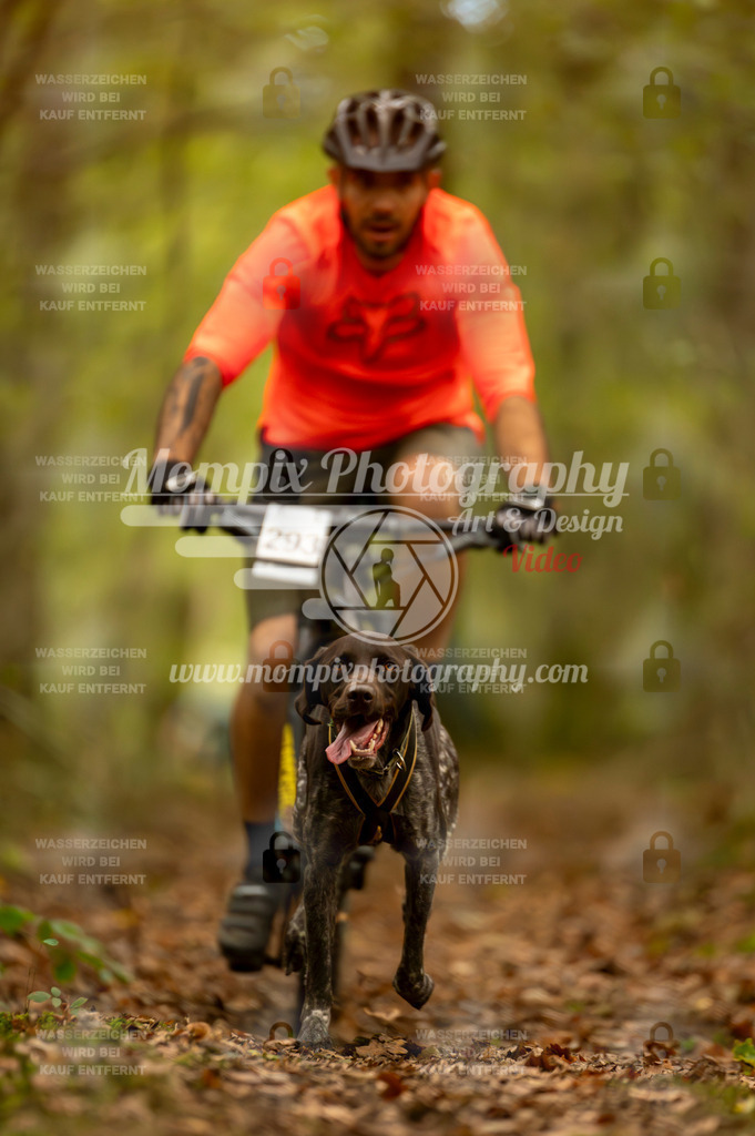TSB_2023_E1_Bike-19 | PayLife