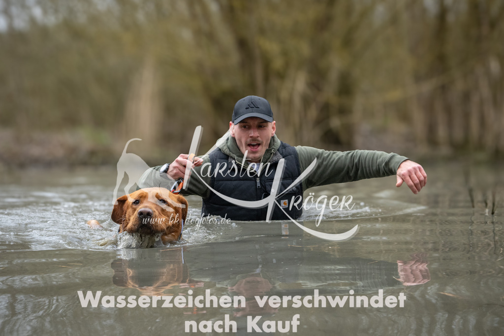 1036_ZZ91284 | kk-dogfotos