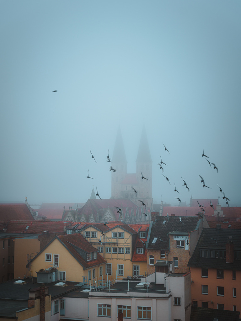 Altstadtmarkt | Entdecke exklusive Fotokunst aus Braunschweig: Bildband, Leinwände, Postkarten, Kalender, digitale Downloads & Bildlizenzen. Jetzt im offiziellen Beautiful Braunschweig Shop! - Realisiert mit Pictrs.com