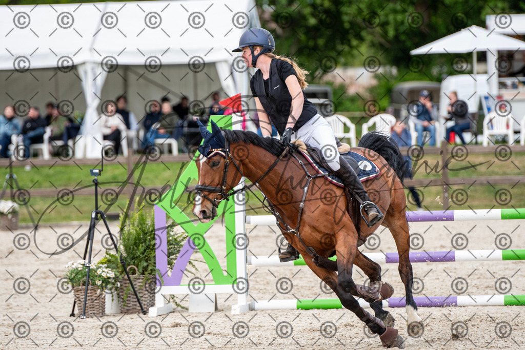 KPT_7238 | andre_photographic