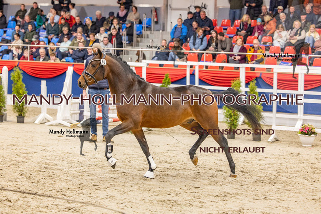 KWEDR (467 von 496) | mandyhollmannphotographie