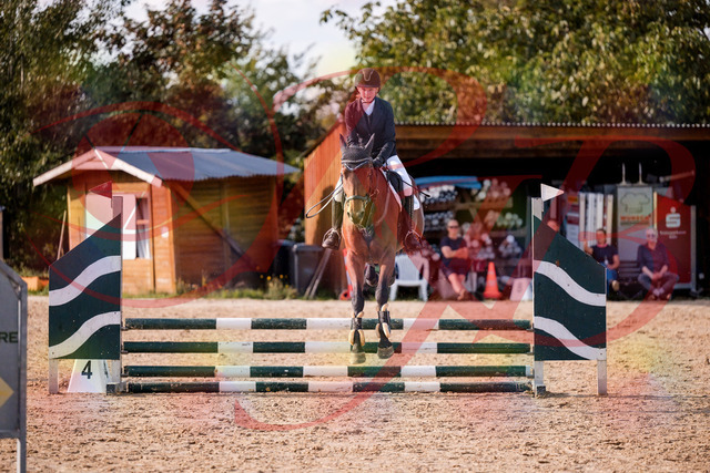 2026_10_03_Siefer-Hof_161037_Z81_90173083 | Professionelle Reitsport-, Turnier- und Eventfotografie von Robert Broda. Galerien mit ausgewählten und bearbeiteten Bildern direkt online ansehen und bestellen.