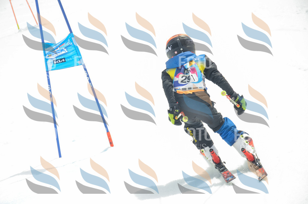 _ELE8111 | holidayphoto