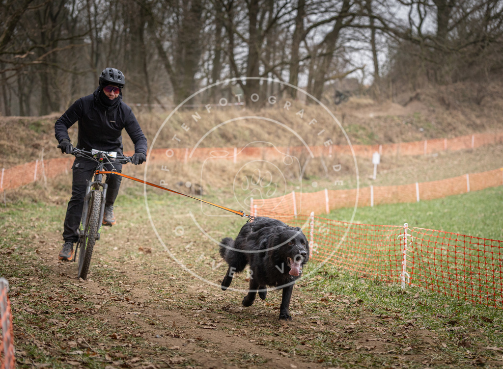 Pfotenfotografie_DV3A6207 | Hundefotografie, Tierfotograf, Pfotenfotografie, Fotoshooting Hund, Hunde Portrait, Hundesport, Hundeportraits, Heideshooting, Hunde, Sportfotograf, Hundefotograf, Turnierhundsport, THS,  - Realisiert mit Pictrs.com