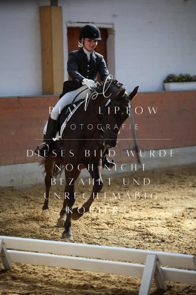 IMGT6338 | pl-fotografie