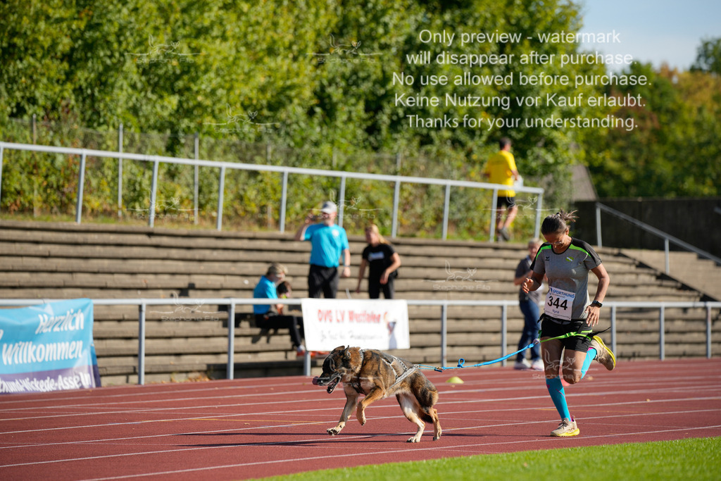 Sonntag_Staffel (60 von 336) | stephaniefillaphotographie - Realisiert mit Pictrs.com