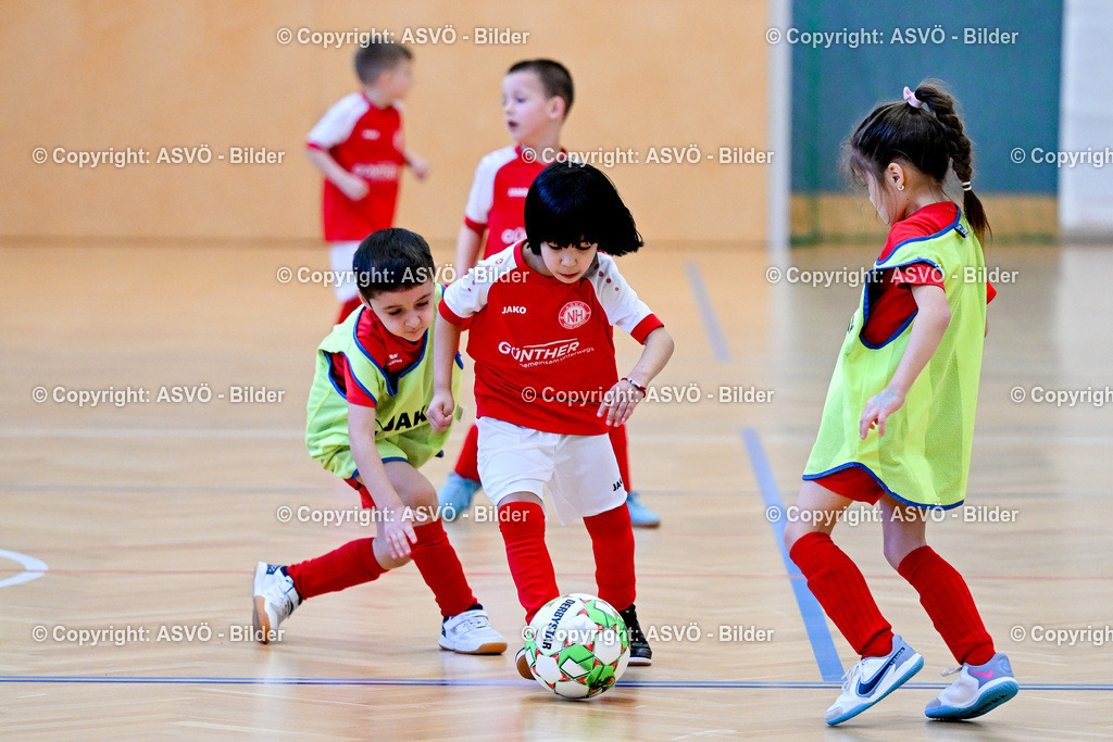 ASVÖ_ Fussballturnier SV Gallneukirchen_ 08.02.2025-48 | 08.02.2025, Gallneukirchen, AUT, ASVÖ, Fussball Nachwuchs Hallenturnier 2025, SV Gallneukirchen im Bild Teilnehmer U 7©Harald Dostal / fodo.media - Realisiert mit Pictrs.com