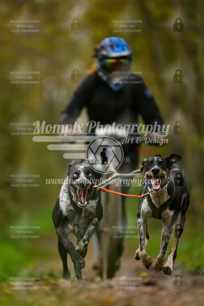MompixPhotography_20TSB_E6_DS2-20 | PayLife