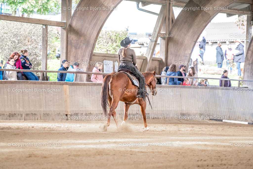LMB00919 | BS-foto