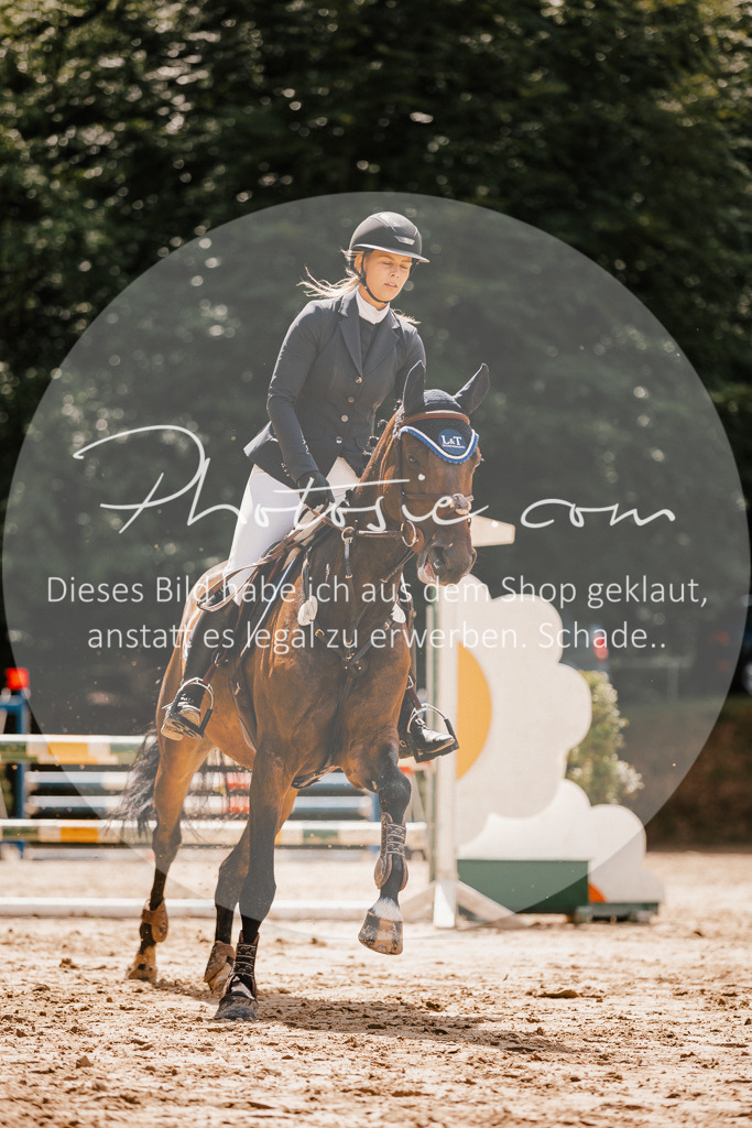 3I6A2391 | Stimmungsvolle Portraits und Reitsportfotografie im Ruhrgebiet und im Münsterland.

Pferdefotografie, Hundefotografie, Tierfotografie, Reportagen, Portraits von Tier und Mensch, Turnierfotografie in Bochum, Recklinghausen, Marl, Haltern am See, Dülmen.. - Realisiert mit Pictrs.com