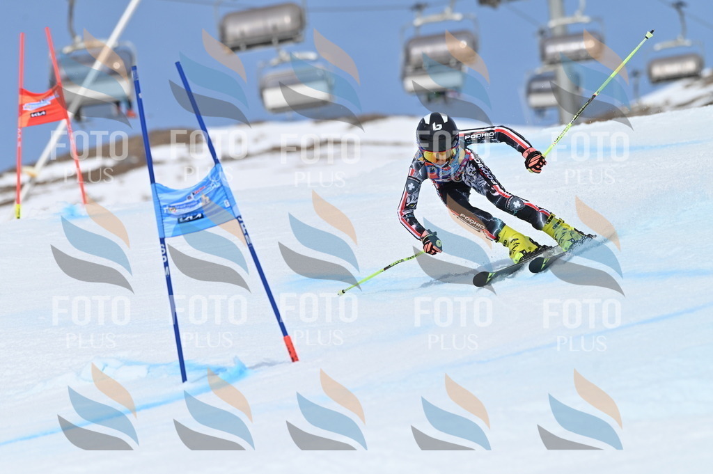 BGV_2464 | holidayphoto