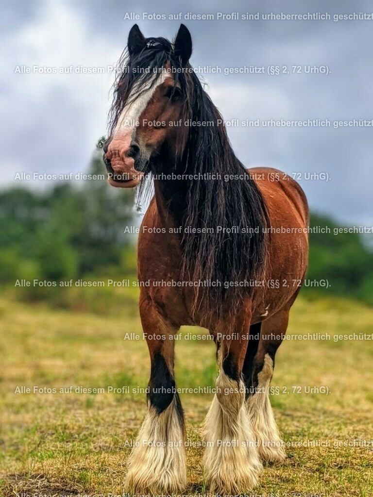 1d5b1f41486de0eeed8cb445b69787b8 | krollfotografie - Realisiert mit Pictrs.com