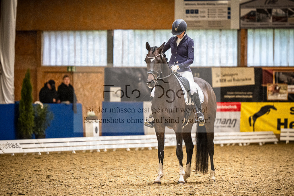 DOS_0709 | Entdecke hochwertige Reitturnierfotos von Foto Oger. Professionell, emotional und authentisch – jetzt Lieblingsmomente im Shop bestellen.Deutschlandweite Turnierfotografie. - Realisiert mit Pictrs.com