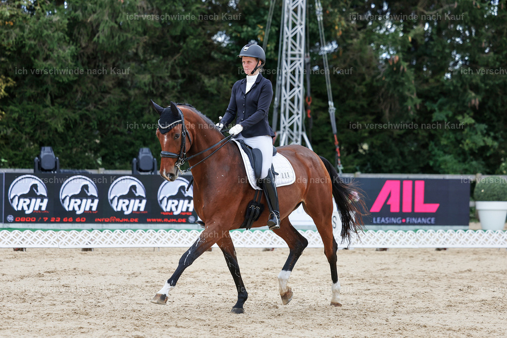 04_1-084-Dressur M__ -StoibPH-StoibPH-2658 | working equitationturnier fotograf videograf stoibphotography marixx film working equitation deutschland reitsport turnierfotografie eventfotografie equestrian events