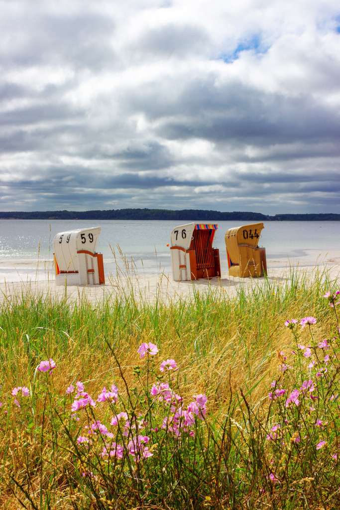 Wandbild: Blumen am Sandstrand in Eckernförde | Auf diesen Wandbild im Hochformat sind zahlreiche Blumen in Blau und Rosa vor dem Sandstrand in Eckernförde zu sehen. Am Strand stehen einige Strandkörbe. Ein maritimes Wandbild als Vorfreude auf den nächsten Urlaub am Meer. Es ist als Leinwand, als Acrylglas/Glasbild und Aluminium-Platte in vielen Abmessungen erhältlich und wird individuell für Sie produziert. Ideal fürs Wohnzimmer, Schlafzimmer, Küche, die Ferienwohnung, das Hotelzimmer, das Büro oder die Praxis. - Realisiert mit Pictrs.com
