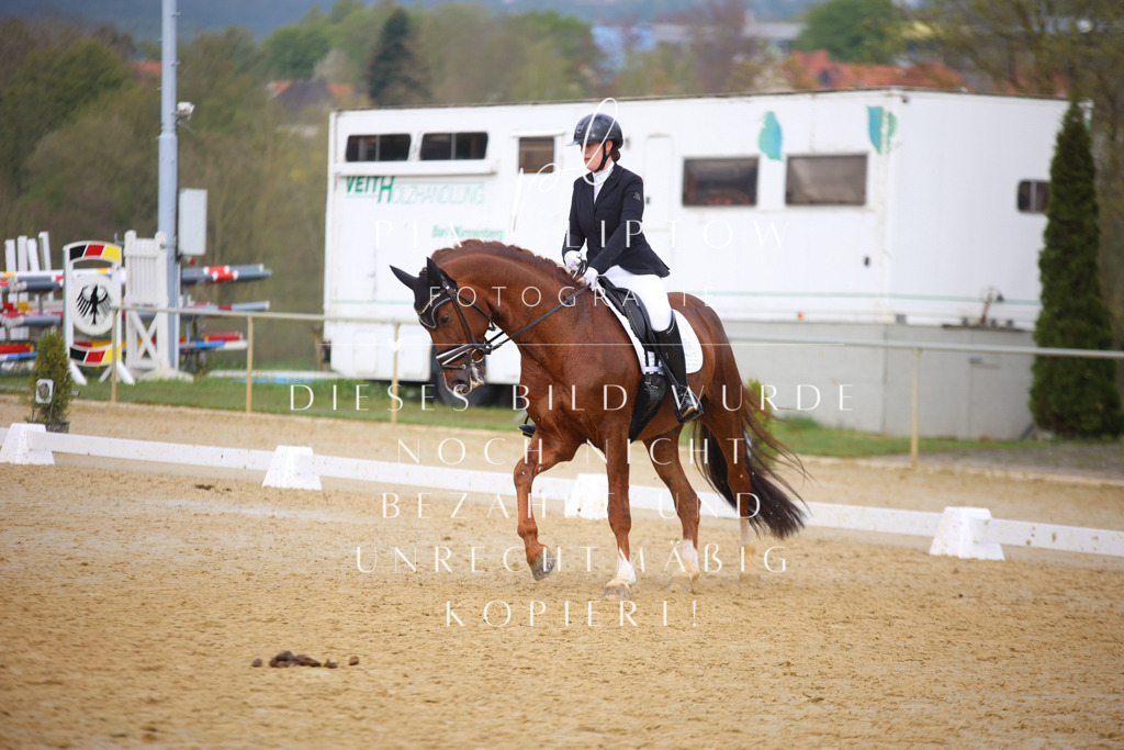 IMGT7637 | pl-fotografie