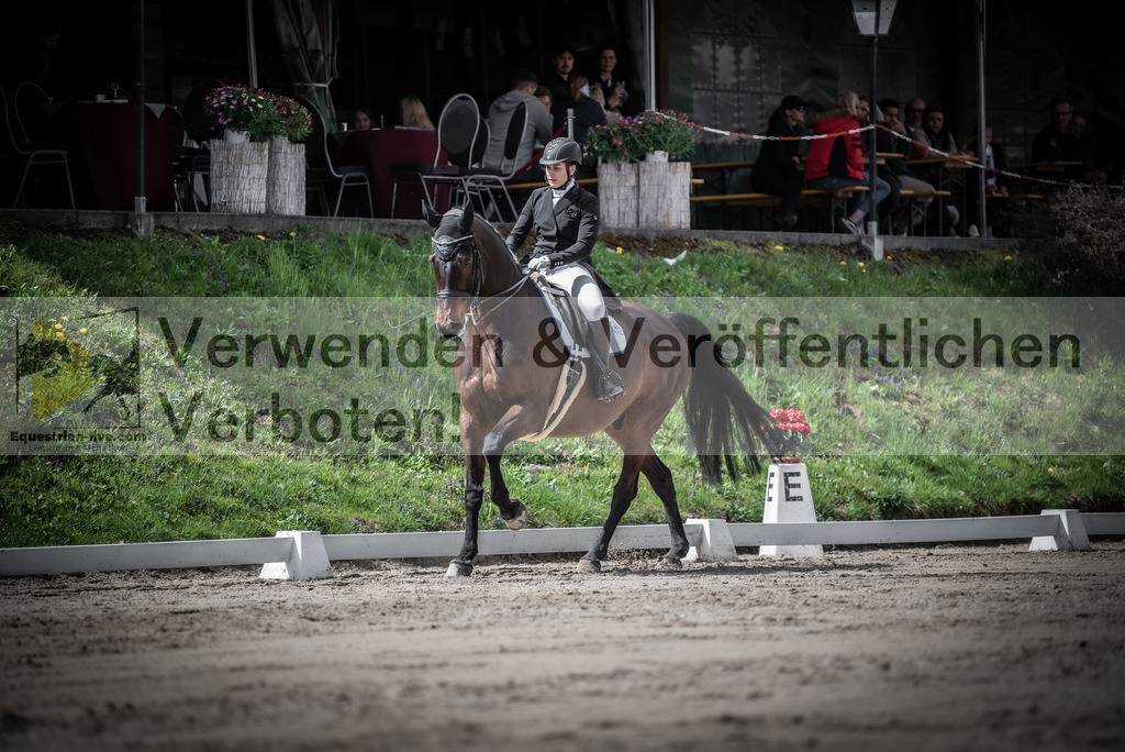 DSC_2864 | equestrian-live-com