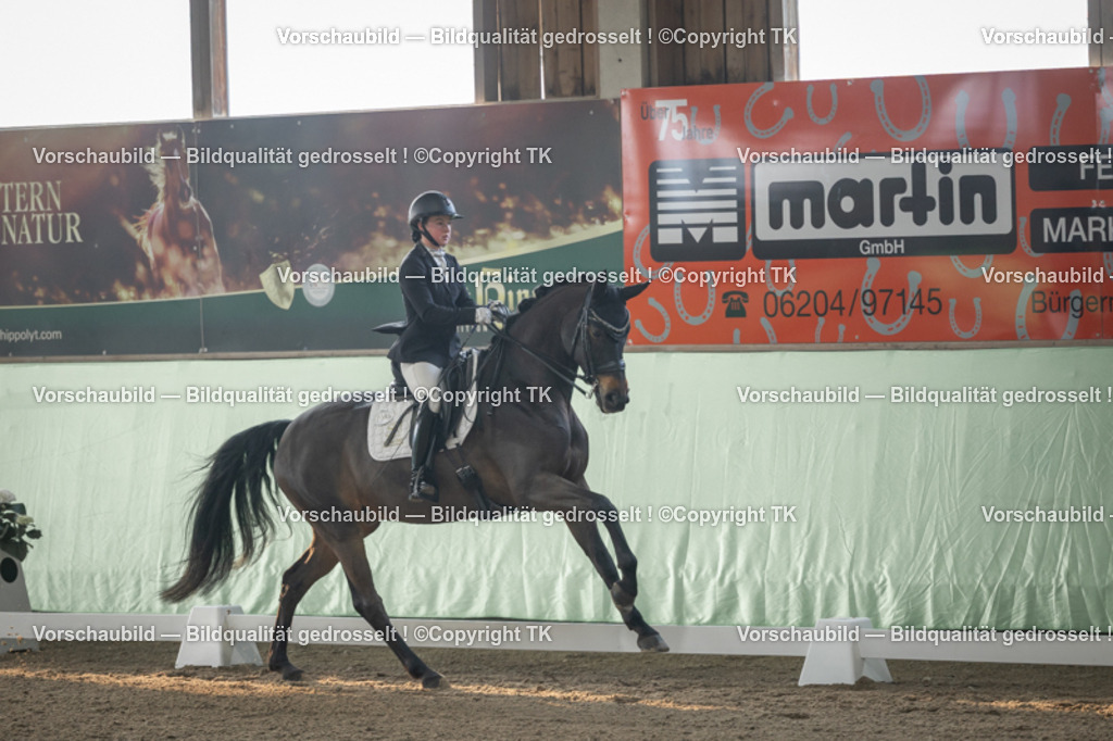 _D5A4092 | Emotionale Pferde- & People-Fotografie rund um Heidelberg, Leimen & Umgebung. Natürliche Fotos von Pferd, Mensch & Familie. Jetzt Termin sichern!