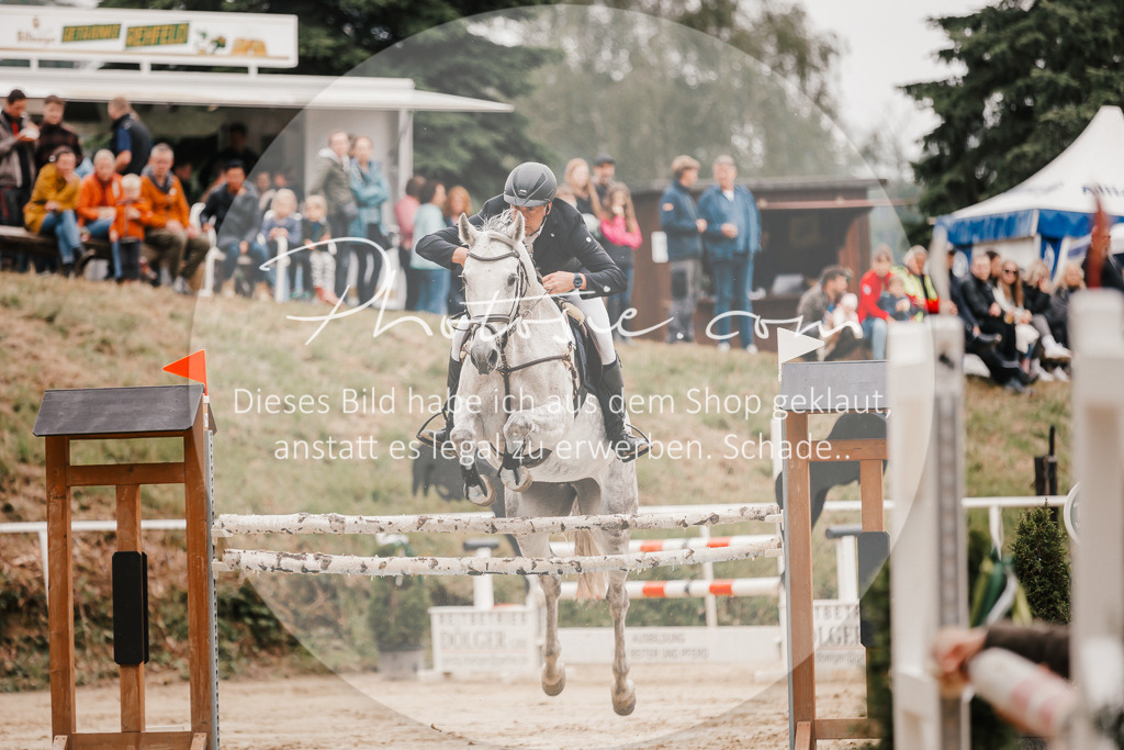 3I6A2028 | Stimmungsvolle Portraits und Reitsportfotografie im Ruhrgebiet und im Münsterland.

Pferdefotografie, Hundefotografie, Tierfotografie, Reportagen, Portraits von Tier und Mensch, Turnierfotografie in Bochum, Recklinghausen, Marl, Haltern am See, Dülmen.. - Realisiert mit Pictrs.com