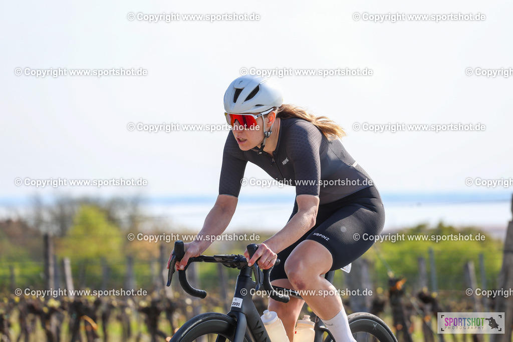 IMG_0719 | @sportshot_your_pictrs #yourpictures#roadtowm2029 #nrm #neusiedlerseeradmarathon #neusiedlersee #neusiedlerseetourismus #burgenland #mörbisch #nrm26 #burgenlandtourismus #voglundco #poweredbyburgenlandtourismus #radsport #rad #marathon #ucigranfondo #visitburgenland #ucigranfondoworldseries