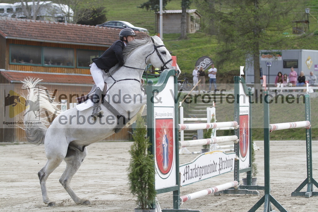 _MG_1149 | equestrian-live-com
