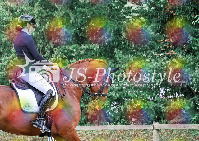 20250726_Dressurprüfung Kl.L Kandare-142 | JS-Photostyle - Sport-/Portrait- & Eventfotografie