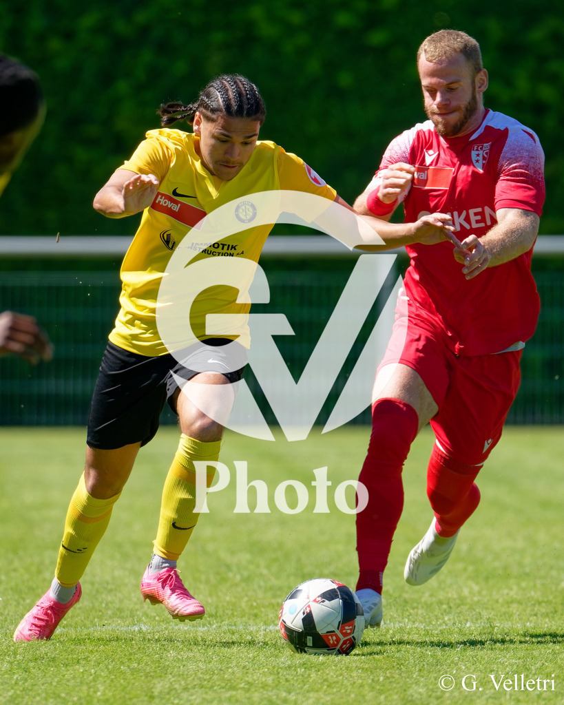 DSC_7630 | Velletri Photo