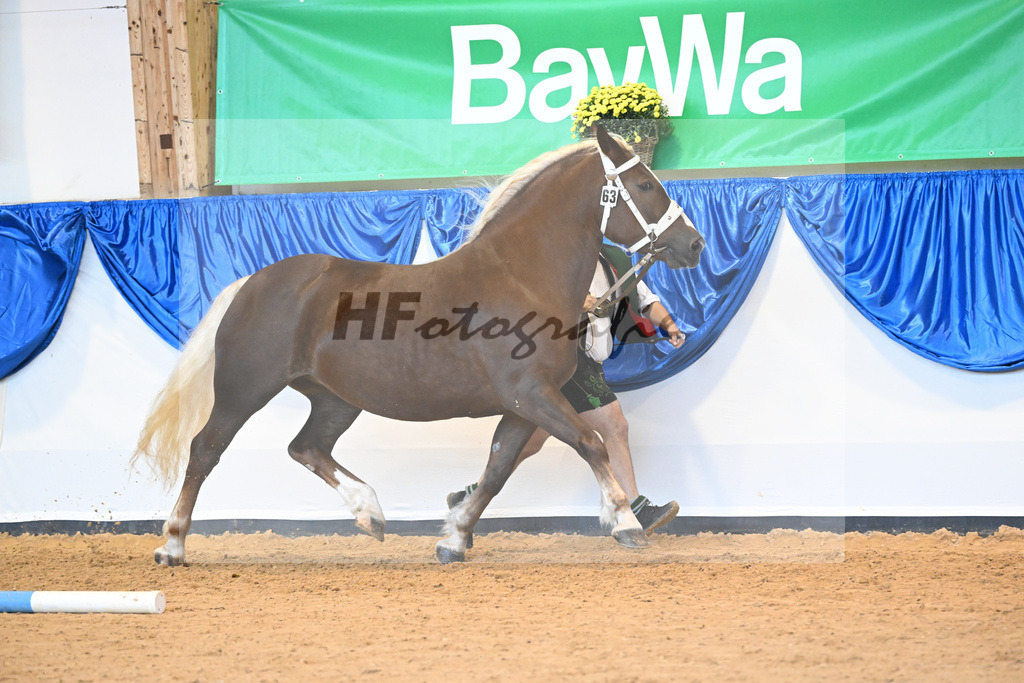 Kat-Nr. 63 Mirabell_Marchl_53220195 | hf-fotografie - Realisiert mit Pictrs.com