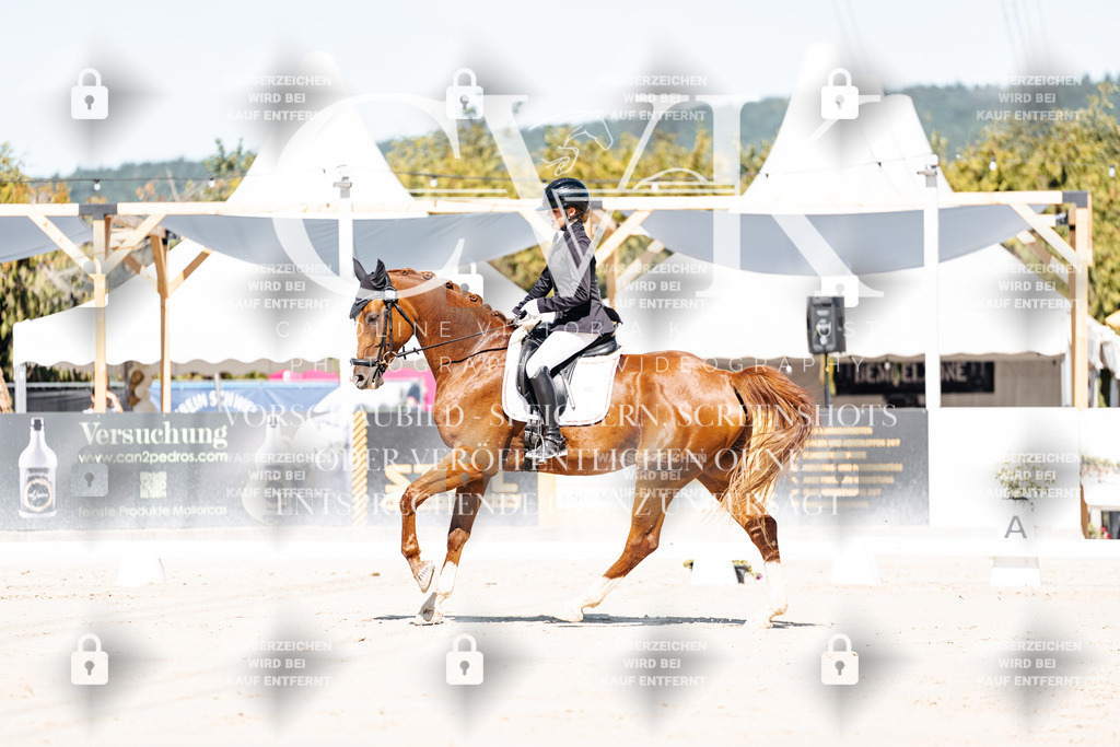 CK908923 | Turnierfotografie Pferdefotografie Trier Rheinland-Pfalz Pferdesport Reitsport Tierfotografie Sportfotografie Pferdevideo Pferdevideografie Equestrianvideography equestrianphotography  - Realisiert mit Pictrs.com
