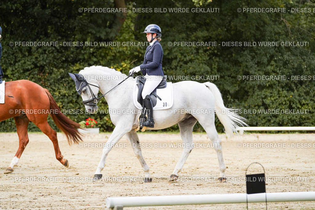 DSC02609 | Pferdegrafie