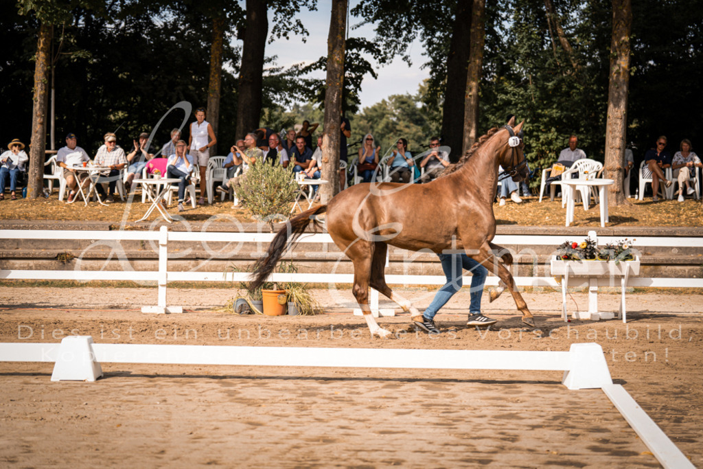 FrER00143 | Leoni Ertmer Photography - Realisiert mit Pictrs.com