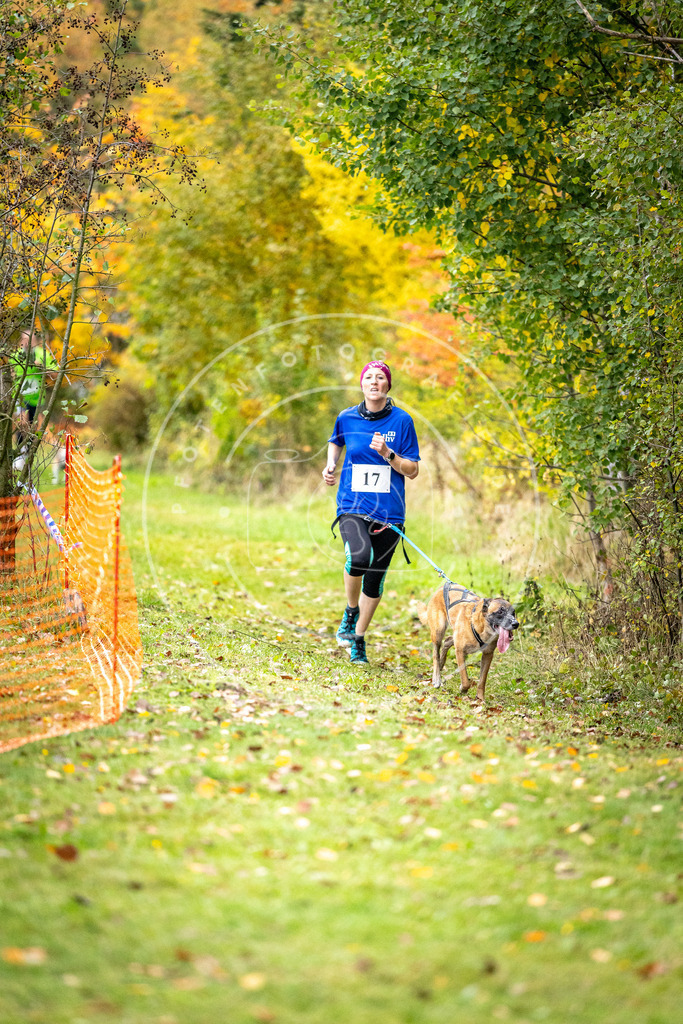 Pfotenfotografie_DV3A1845 | Hundefotografie, Tierfotograf, Pfotenfotografie, Fotoshooting Hund, Hunde Portrait, Hundesport, Hundeportraits, Heideshooting, Hunde, Sportfotograf, Hundefotograf, Turnierhundsport, THS,  - Realisiert mit Pictrs.com