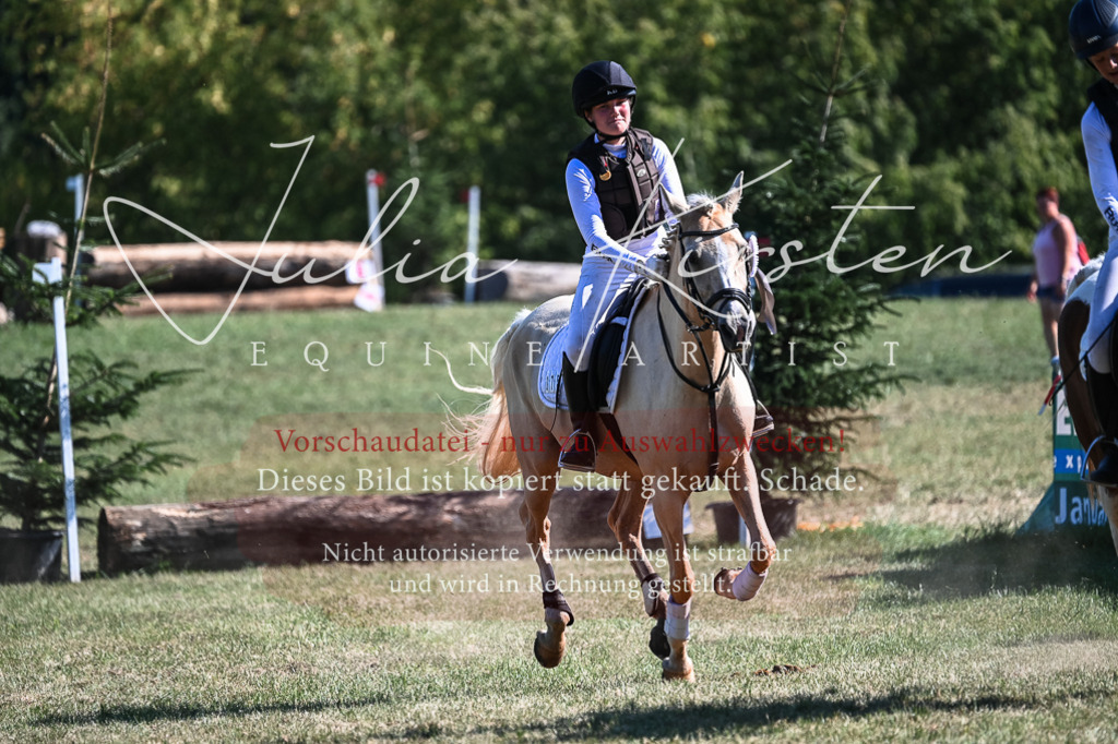 DSC_7035 | Pferde- und Turnierfotografie in Westsachsen. Pferdeportraits, Auftragszeichnungen und intuitive Kunst.