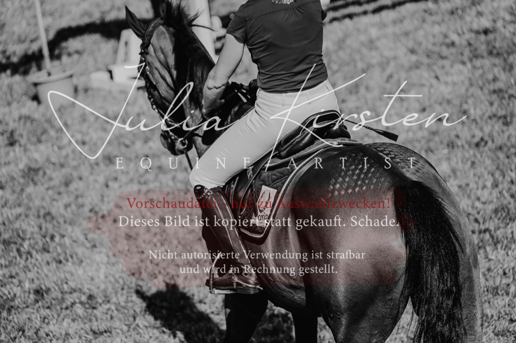 DSC_2188 | Pferde- und Turnierfotografie in Westsachsen. Pferdeportraits, Auftragszeichnungen und intuitive Kunst.