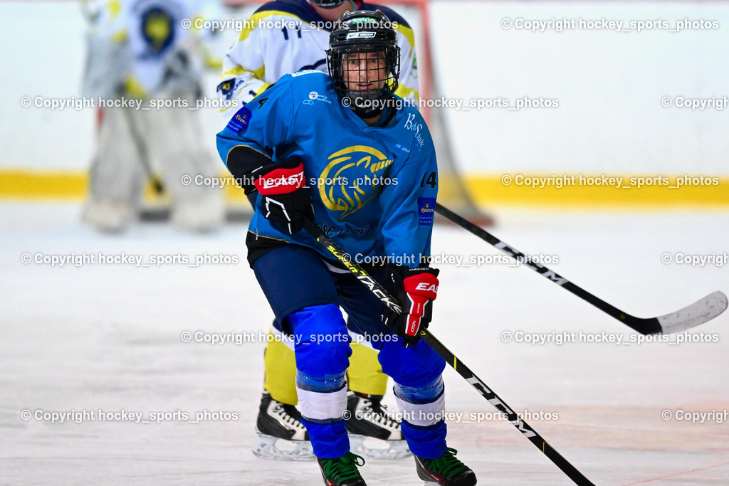 BST_6504 | hockey sports photos, Pressefotos, Sportfotos, hockey247, win 2day icehockeyleague, Handball Austria, Floorball Austria, ÖVV, Kärntner Eishockeyverband, KEHV, KFV, Kärntner Fussballverband, Österreichischer Volleyballverband, Alps Hockey League, ÖFB, 