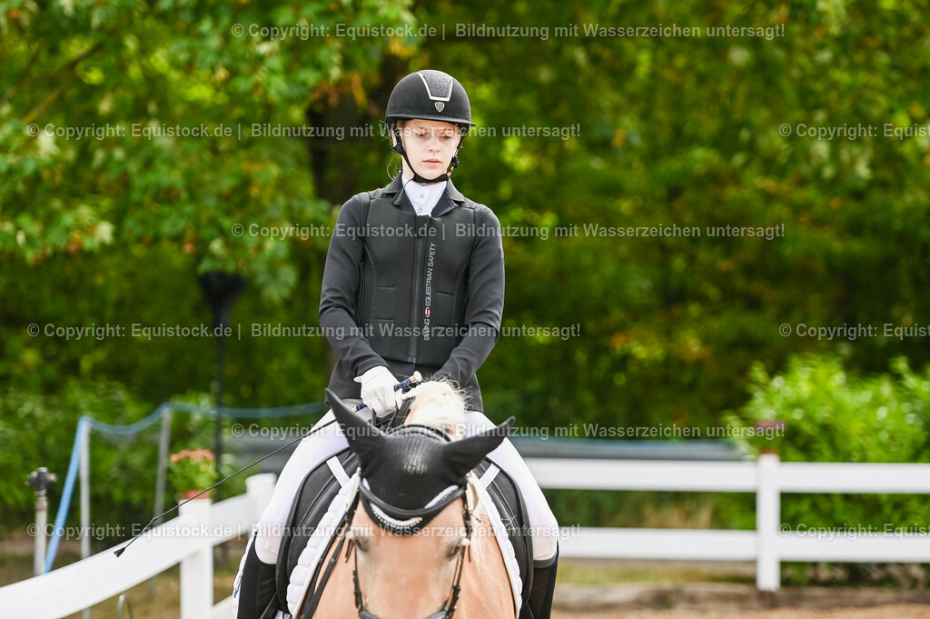 20230716_10-1_Reiter-WB Schritt - Trab - Galopp_0038 | equistock